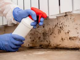 Best Residential Mold Inspection & Testing  in Mauldin, SC